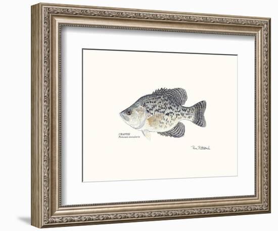 Crappie Fish-Ron Pittard-Framed Art Print