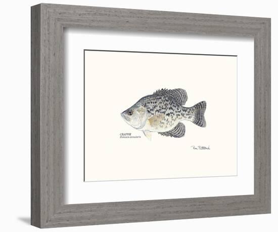 Crappie Fish-Ron Pittard-Framed Art Print