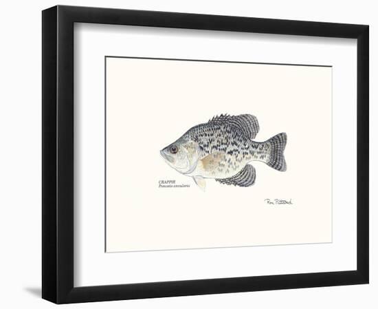 Crappie Fish-Ron Pittard-Framed Art Print