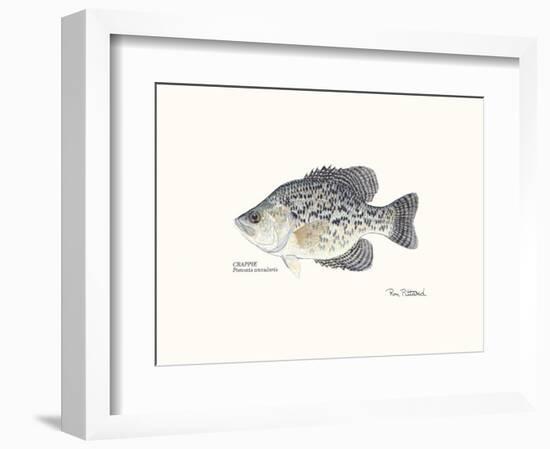 Crappie Fish-Ron Pittard-Framed Art Print