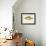 Crappie-null-Framed Giclee Print displayed on a wall