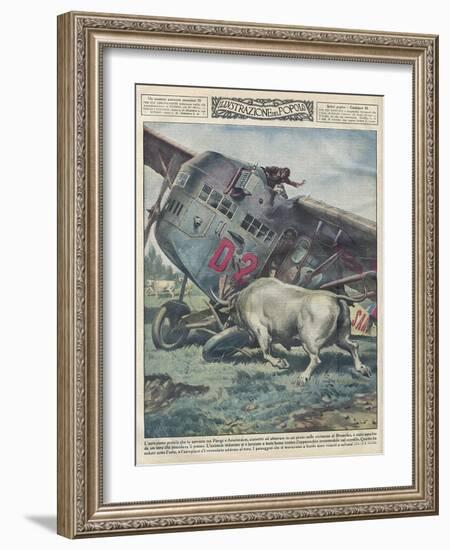 Crash and Bull-Alfredo Ortelli-Framed Art Print