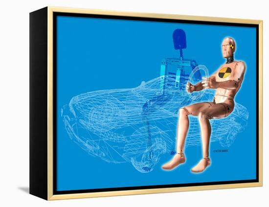 Crash Test Dummy-Victor Habbick-Framed Premier Image Canvas