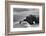 Crashing waves on the lava rock shoreline of Tanah Lot Temple, Bali, Indonesia-Greg Johnston-Framed Photographic Print