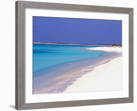 Crasqui, Los Roques, Venezuela-Sergio Pitamitz-Framed Photographic Print