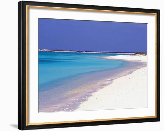 Crasqui, Los Roques, Venezuela-Sergio Pitamitz-Framed Photographic Print