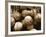 Crate Full of Worn Softballs-Doug Berry-Framed Photographic Print