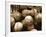 Crate Full of Worn Softballs-Doug Berry-Framed Photographic Print