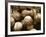 Crate Full of Worn Softballs-Doug Berry-Framed Photographic Print