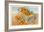 Crate of California Oranges-null-Framed Art Print