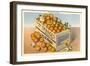 Crate of California Oranges-null-Framed Art Print