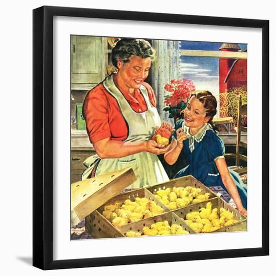 "Crate of New Baby Chicks,"April 1, 1945-W.C. Griffith-Framed Giclee Print