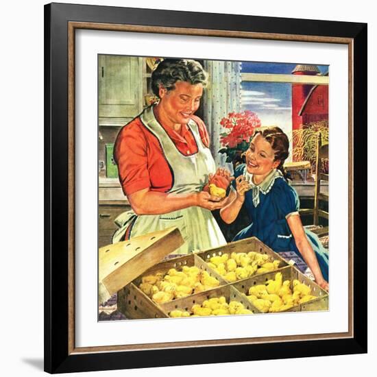 "Crate of New Baby Chicks,"April 1, 1945-W.C. Griffith-Framed Giclee Print