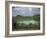 Crater Lake at Manengouba, Western Area, Cameroon, West Africa, Africa-Julia Bayne-Framed Photographic Print