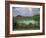 Crater Lake at Manengouba, Western Area, Cameroon, West Africa, Africa-Julia Bayne-Framed Photographic Print