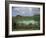 Crater Lake at Manengouba, Western Area, Cameroon, West Africa, Africa-Julia Bayne-Framed Photographic Print