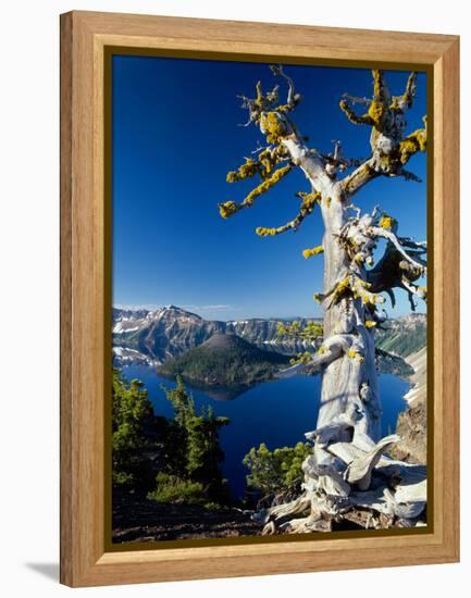 Crater Lake I-Ike Leahy-Framed Premier Image Canvas