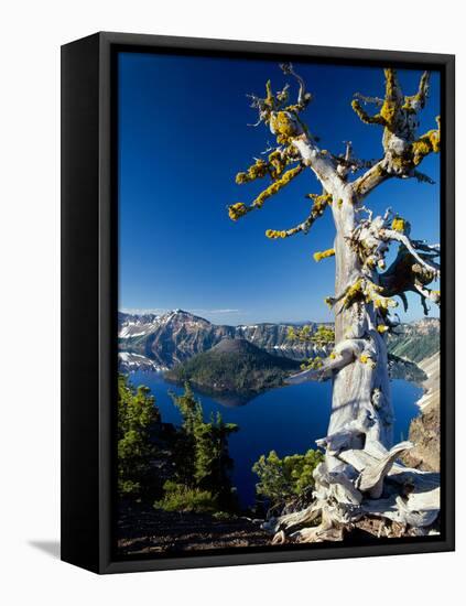 Crater Lake I-Ike Leahy-Framed Premier Image Canvas