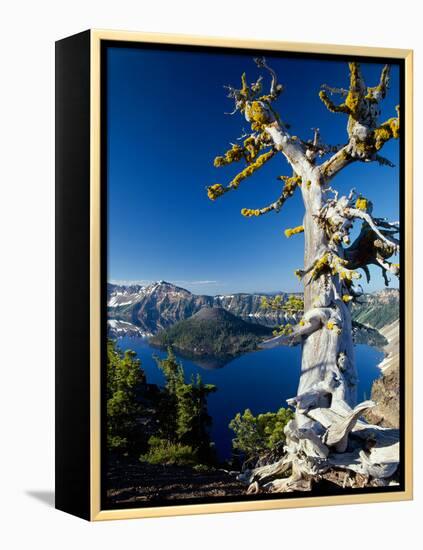 Crater Lake I-Ike Leahy-Framed Premier Image Canvas