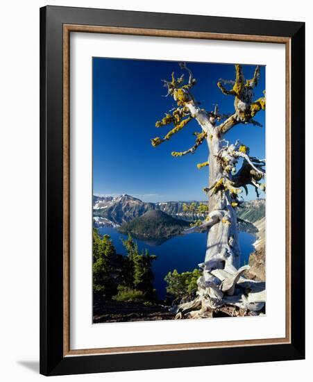 Crater Lake I-Ike Leahy-Framed Photographic Print