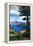 Crater Lake National Park, Oregon - Deer Family-Lantern Press-Framed Stretched Canvas