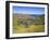 Crater of Ranu Kau, Rapa Nui, Chile, South America-Gavin Hellier-Framed Photographic Print