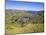 Crater of Ranu Kau, Rapa Nui, Chile, South America-Gavin Hellier-Mounted Photographic Print