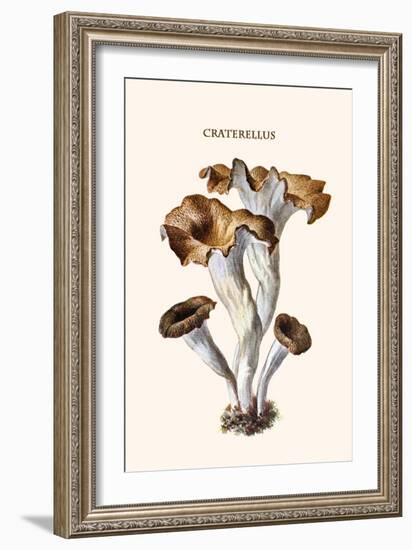 Craterellus-Edmund Michael-Framed Art Print