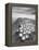 Crateres BW-Moises Levy-Framed Premier Image Canvas