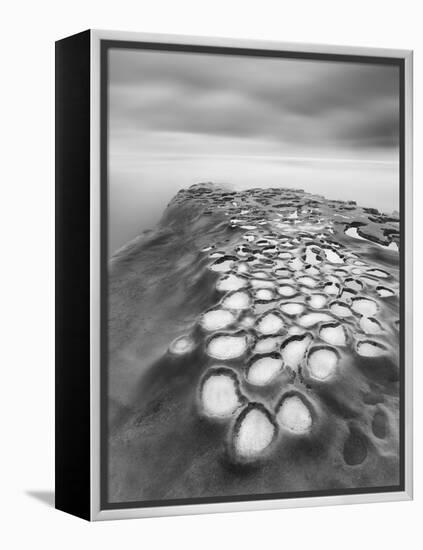 Crateres BW-Moises Levy-Framed Premier Image Canvas