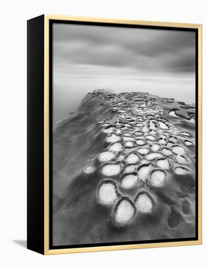 Crateres BW-Moises Levy-Framed Premier Image Canvas