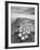 Crateres BW-Moises Levy-Framed Photographic Print