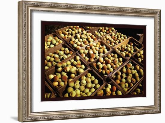 Crates of Peaches-Russell Lee-Framed Art Print