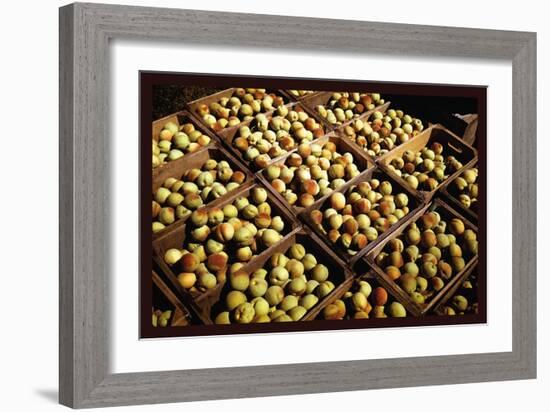 Crates of Peaches-Russell Lee-Framed Art Print