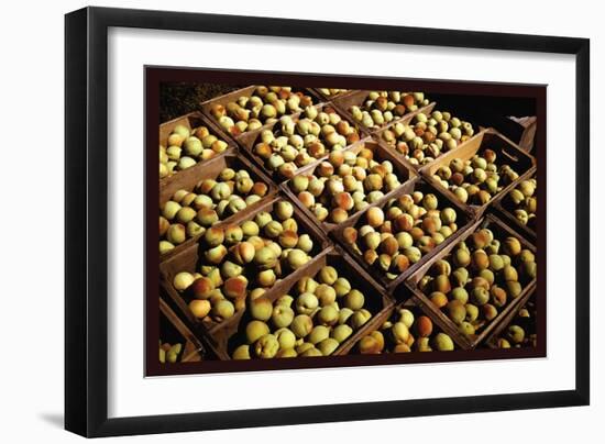 Crates of Peaches-Russell Lee-Framed Art Print