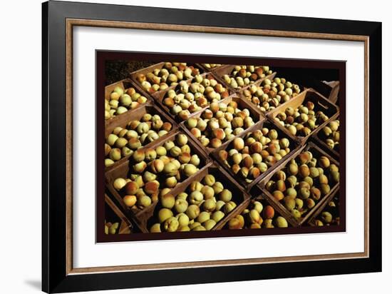 Crates of Peaches-Russell Lee-Framed Art Print