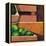 Crates with Green Oranges, 1999-Pedro Diego Alvarado-Framed Premier Image Canvas