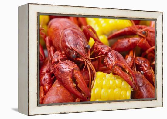 Crayfish Boil--=Viktor=--Framed Premier Image Canvas