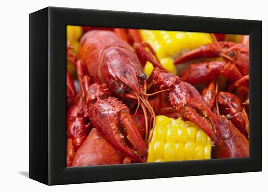 Crayfish Boil--=Viktor=--Framed Premier Image Canvas