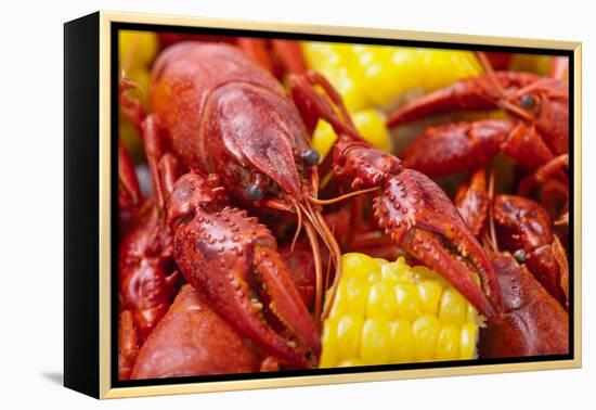 Crayfish Boil--=Viktor=--Framed Premier Image Canvas