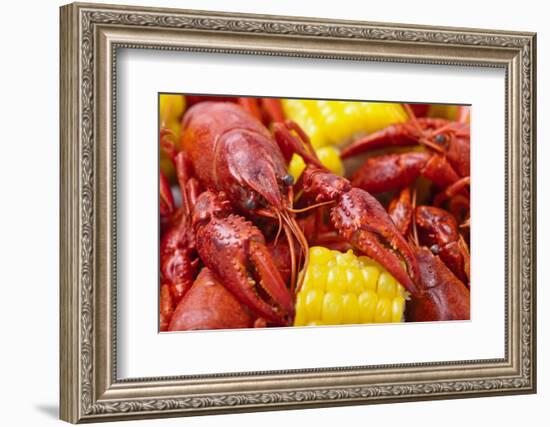 Crayfish Boil--=Viktor=--Framed Photographic Print