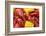 Crayfish Boil--=Viktor=--Framed Photographic Print