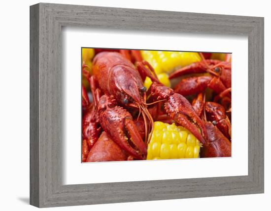 Crayfish Boil--=Viktor=--Framed Photographic Print