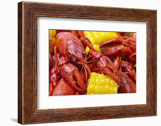 Crayfish Boil--=Viktor=--Framed Photographic Print