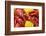 Crayfish Boil--=Viktor=--Framed Photographic Print