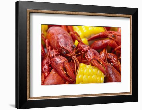 Crayfish Boil--=Viktor=--Framed Photographic Print