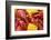 Crayfish Boil--=Viktor=--Framed Photographic Print