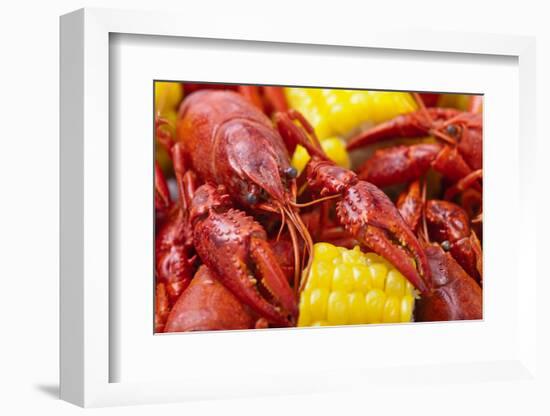 Crayfish Boil--=Viktor=--Framed Photographic Print