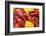 Crayfish Boil--=Viktor=--Framed Photographic Print