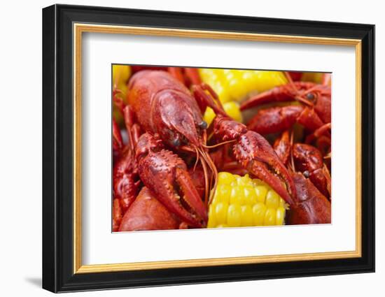 Crayfish Boil--=Viktor=--Framed Photographic Print